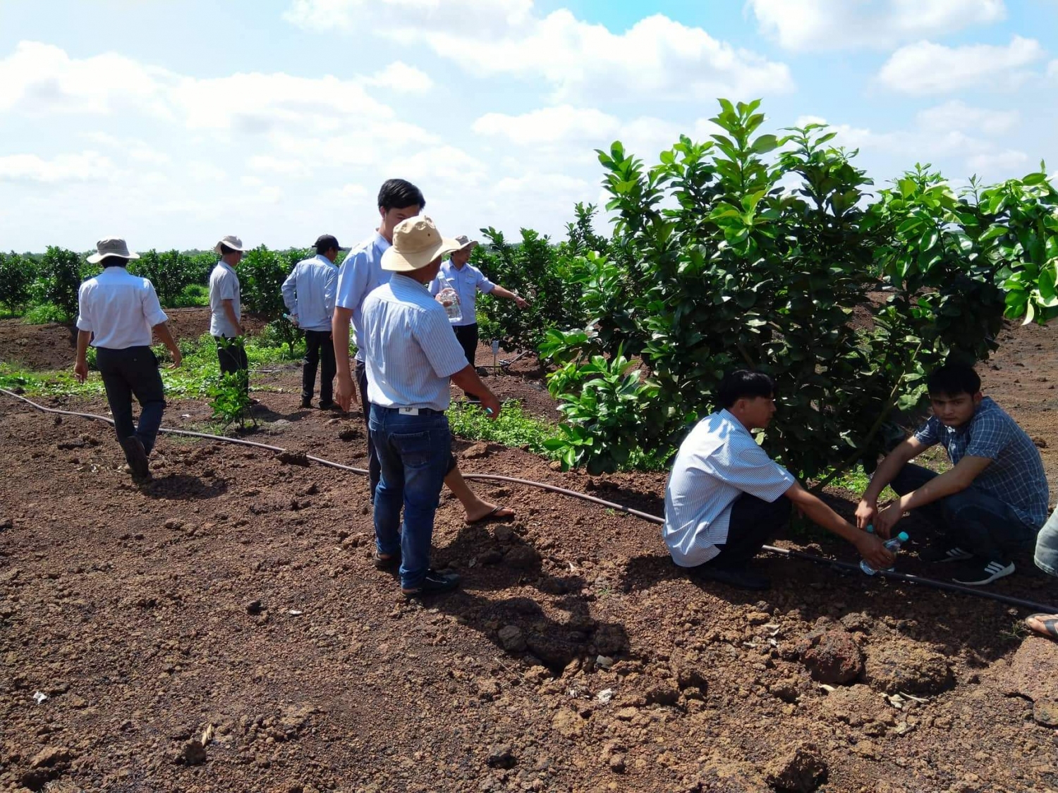 Tuổi trẻ Bù Đốp với hoạt động chuyển giao tiến bộ khoa học kỹ thuật sản xuất nông, góp phần chung tay xây dựng nông thôn mới.